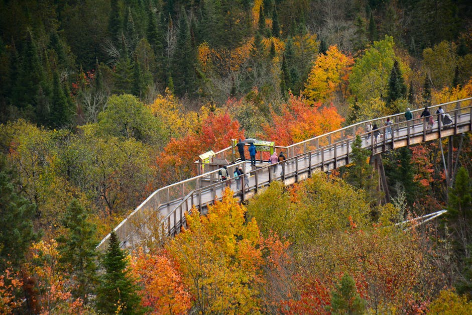 Tourists enjoying a treetop walkway amidst vibrant autumn foliage in Montreal, Canada.