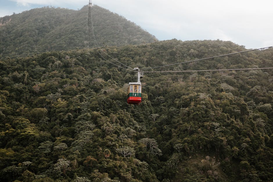 Experience a high-altitude cable car journey above verdant hills and dense wilderness.