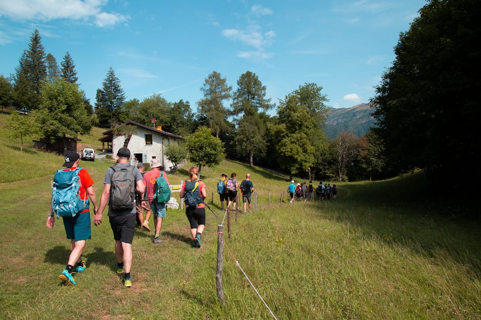 A group of hikers exploring a lush green valley during a sunny day trek.