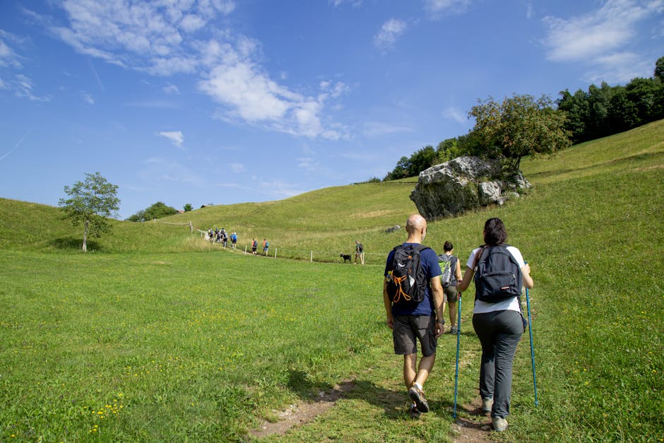 Back view of a couple with backpacks hiking on a green grassland path under a clear blue sky.