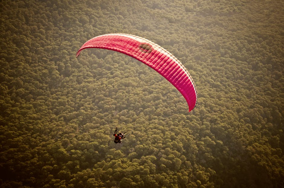A thrilling paragliding flight over the dense forests of Ölüdeniz, Türkiye, captured from above.